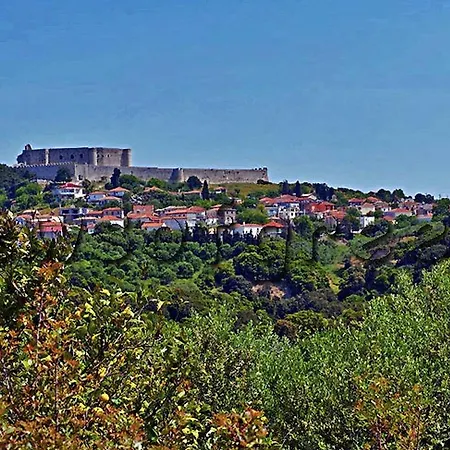 Panelma Tranquil Coastal Retreat In Zacharo * Tholon