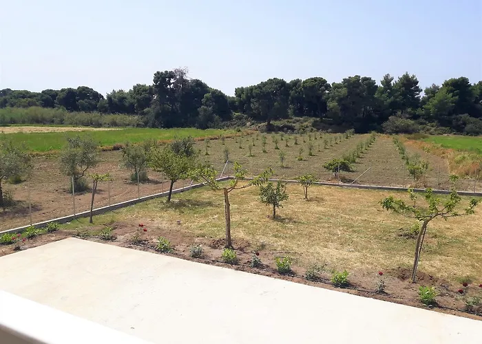 شقة Panelma Tranquil Coastal Retreat In Zacharo Tholon